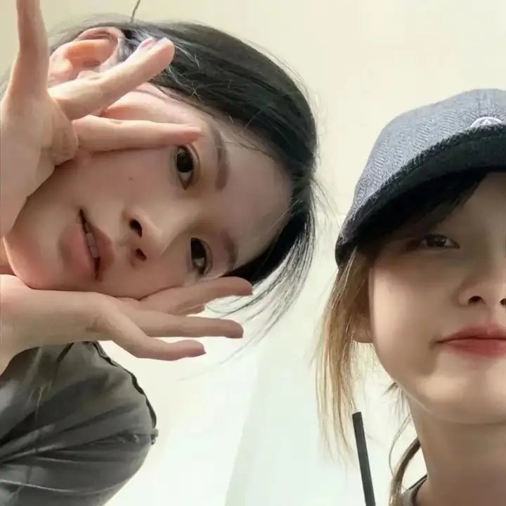 朕的朝堂都是奸臣